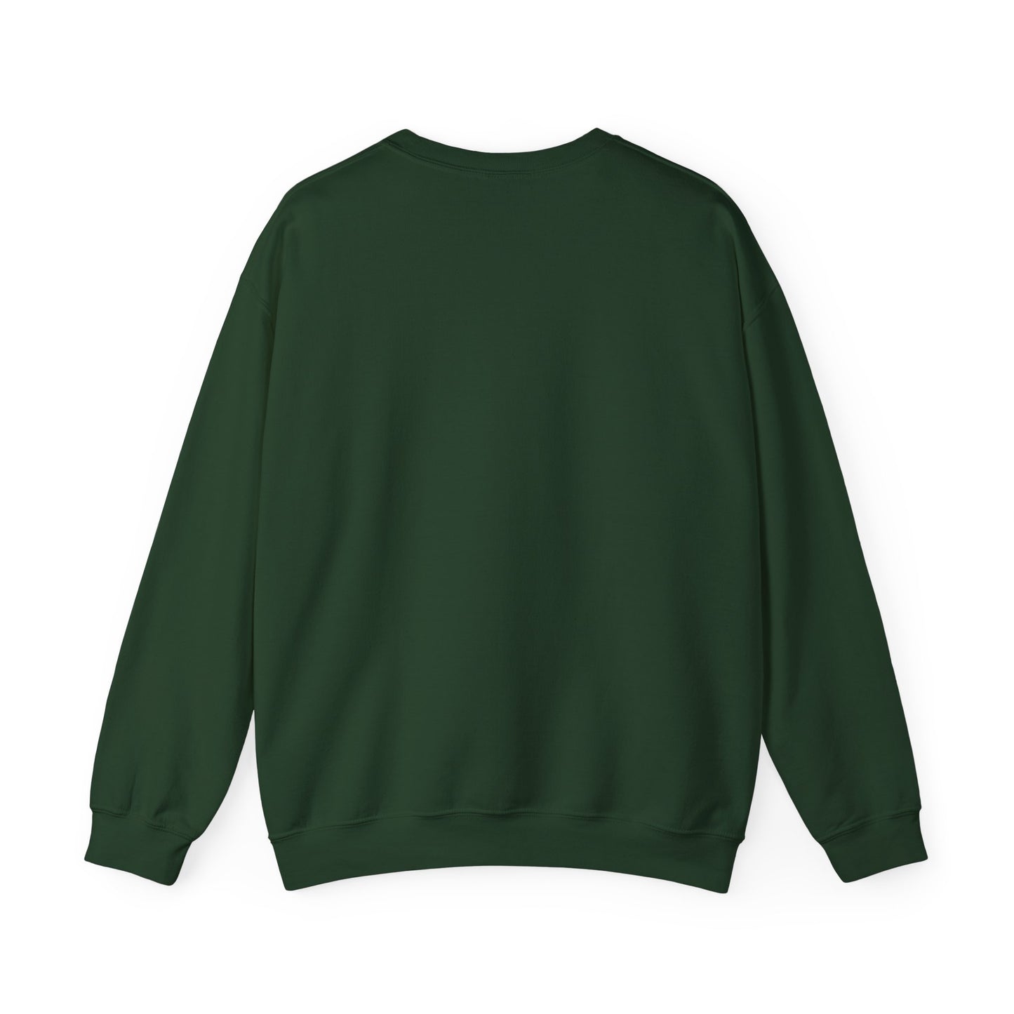 No WiFi, No Problem Sweatshirt