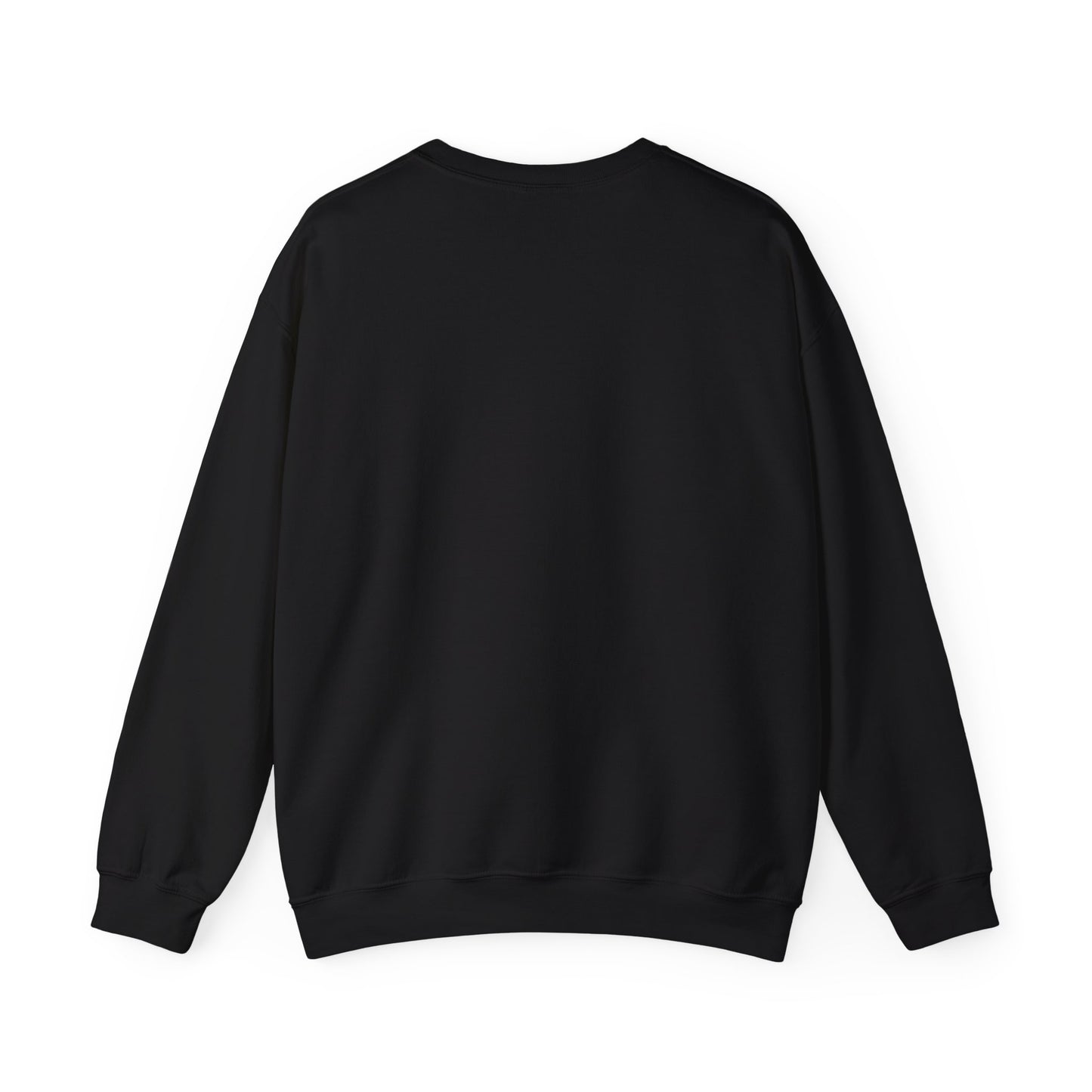 No WiFi, No Problem Sweatshirt
