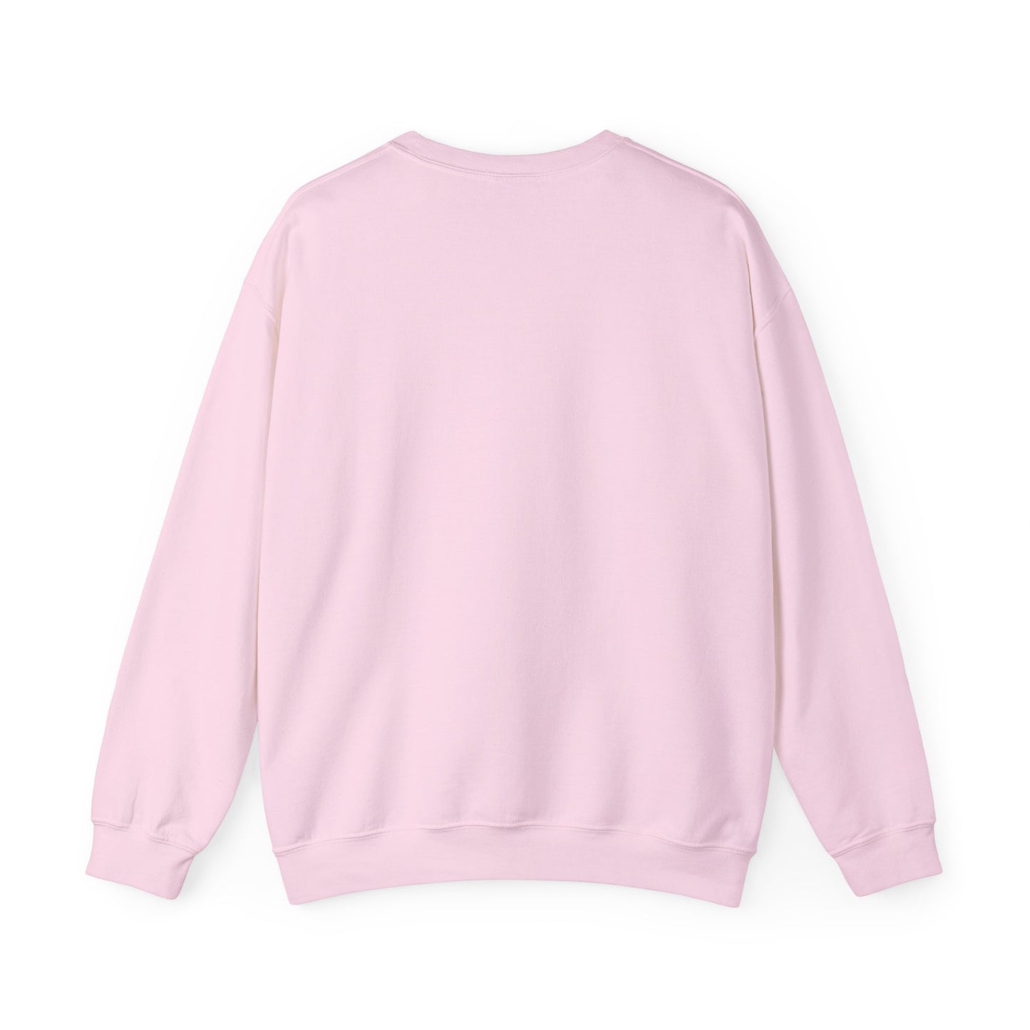 No WiFi, No Problem Sweatshirt